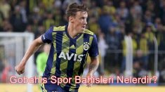 Gobahis Spor Bahisleri Nelerdir?